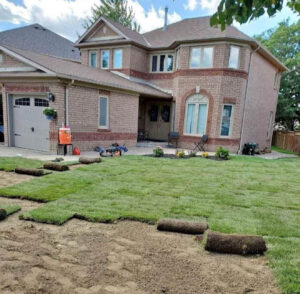 Freshly installed sod on a residential front yard in Windsor