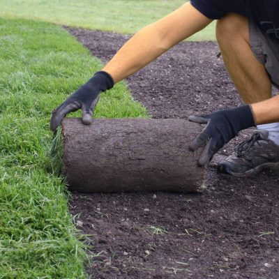 AdobeStock_50583973-scaled-1 sod rolls installation
